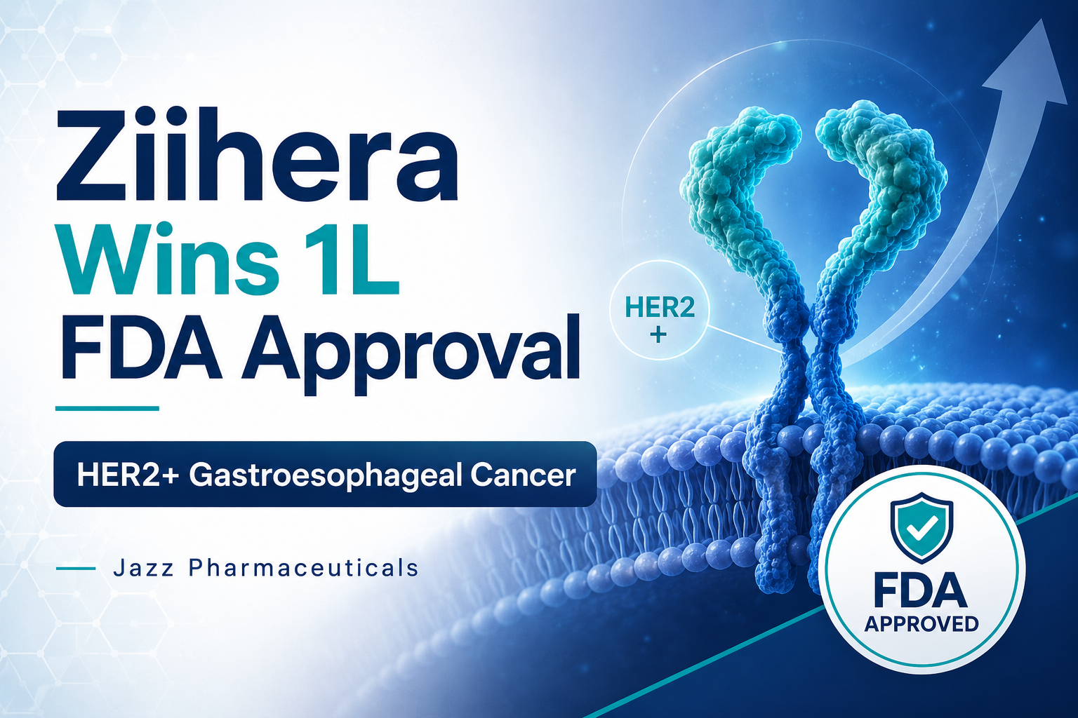 Jazz Wins First-Line FDA Approval for Ziihera in HER2-Positive Gastroesophageal Cancer