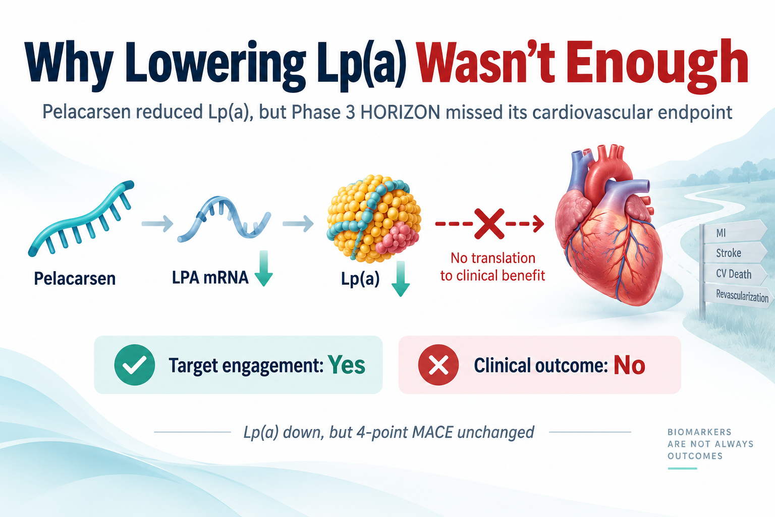 Why Lowering Lp(a) Wasn’t Enough: What Pelacarsen’s Phase 3 Failure Means