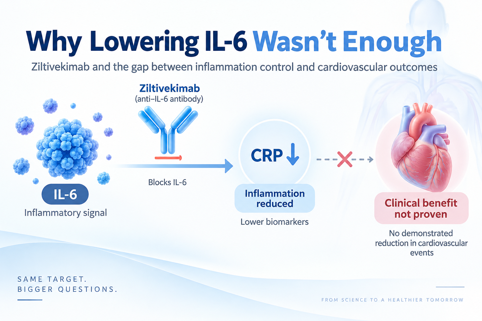 Why Lowering IL-6 Wasn’t Enough: What Ziltivekimab’s Cardiovascular Setback Means
