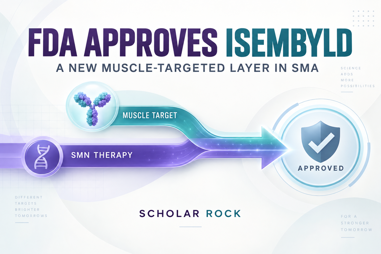 Scholar Rock’s Isembyld Wins FDA Approval for Spinal Muscular Atrophy